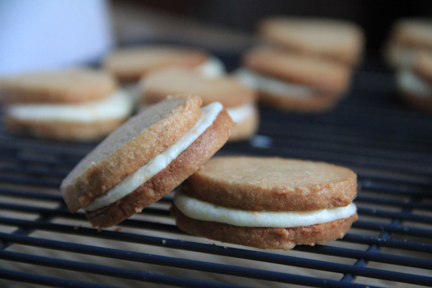 Gingerbread Cookies